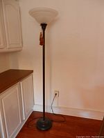 Full view of the black metal floor lamp with frosted bowl-shaped glass shade.