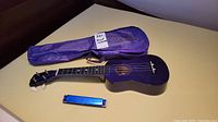 Ukulele, carrying case, and harmonica arranged on a table showing the full items in the lot from a distance.