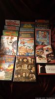 Photo showing 18 different DVD titles laid out side-by-side including family, animated, and classic movies and a concert DVD.