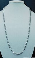 Front view of knotted pale silver gray pearl necklace displayed on bust form, showing length and clasp