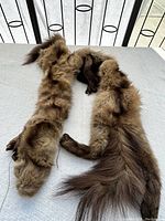 Full view of Livingston Bros mink fur wrap laid flat showing the plush texture and attached clawed paws.