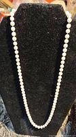 Full view of the pearl necklace laid out in a black display stand showing the round white pearls in a continuous strand.