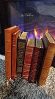 Side view of 6 leather-bound books in various colors against a fire-lit background showing their spines with gold embossed titles.