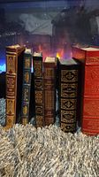 Front view of the six leather bound books in a row showing titles and bindings.