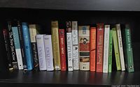 Shelf with 19 various books on a range of topics including literature, history, religion, and social issues.
