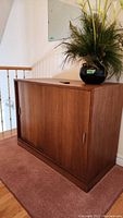 Angled front view showing full cabinet with sliding doors closed, plant on top