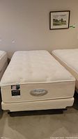 Full view of mattress, box spring and metal frame on wheels