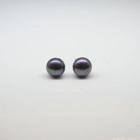 Front-facing close-up of black pearl stud earrings on a white background showing the pearls' round shape and dark iridescent color.