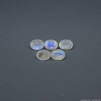 Five oval-shaped rainbow moonstone gems arranged in a flat layout on a dark surface, showing blue flash characteristic of the gem.