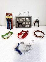 Photo of assorted dog collars, harnesses, nail clippers, and a dog plaque sign laid out on a white surface