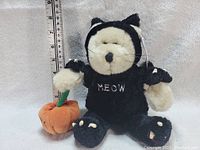 Front view of teddy bear in cat costume holding pumpkin with measurement at 10 inches