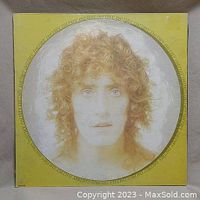 Front cover of the vinyl LP showing Roger Daltrey artistic portrait in yellow tint.