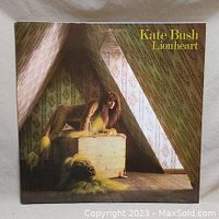 Front album cover with Kate Bush in lion costume in attic scene.