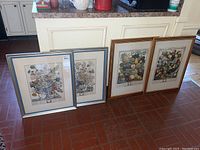 Four framed botanical floral prints arranged on the floor, showing variety in frame color and print style.