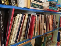 Books on a blue shelf featuring titles about British royalty and Princess Diana, arranged standing upright.