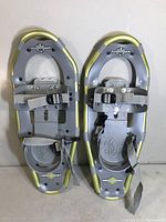 Pair of L.L. Bean Winter Walker 21-inch snowshoes showing top view with straps and frame details.