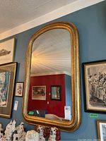 Full view of the large rounded rectangular gold framed mirror hung on a blue wall, showing its size and shape.