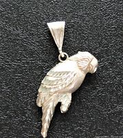 Front view of the solid sterling silver parrot pendant on a black background showing carved feather details and polished finish.