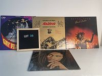 Photo showing four reggae vinyl record albums including Bob Marley & the Wailers, Peter Tosh, and The Gay Flamingoes.