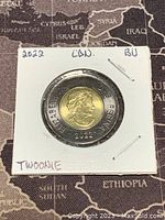 Obverse side of the 2022 Canadian twoonie showing Queen Elizabeth II portrait with 'ELIZABETH II D.G. REGINA' and year 2022, displayed in a cardboard holder labeled with '2022 CAN. BU TW00NIE'.