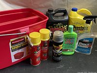 Photo shows a variety of cleaning products including a Rubbermaid double bucket, carpet & upholstery cleaners, tire cleaner, antifreeze containers, and a glass cleaner spray bottle.