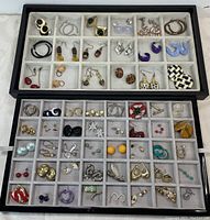 Full view of all earrings in two display trays showing wide variety of styles, colors, and materials