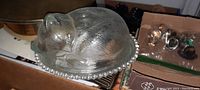 Photo of clear glass candy dish shaped as a resting cat with detailed texture and candlewick style bead rim.