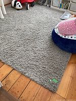 Full view of the grey shag area rug covering wooden floor with toys and furniture surrounding.