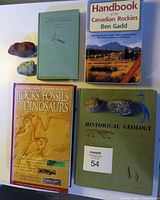 Four geology-related books and four rock specimens arranged on a white surface showing their titles and sizes