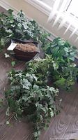 Photo of 6 artificial potted plants arranged together on floor near window. Shows variety of leaf shapes and types, one with rectangular brown pot and moss.