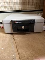 Front view of Sentry Safe model 1100 closed on textured surface.