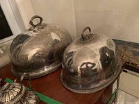 Both cloche domes side by side on wooden surface