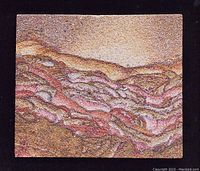 Close-up of the sandstone slab showing the detailed mineral patterns in red, tan, and gray colors.