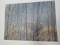 Full front view of the lithograph print showing the white-tailed deer behind birch trees in a naturalistic forest scene with autumn leaves and slender branches.