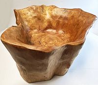 Front angled view of large, natural root wood serving bowl showing organic freeform shape and wood grain.