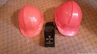 Two pink helmets and a Forest Service branded compact device placed on carpet floor.