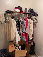 Closet with hanging clothing including dresses, sweaters, and shirts. Hats placed on top shelf. Shoes and boots on shelf and in box below.