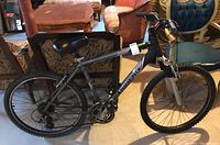 Side view of the full Phoenix Overdrive bike showing frame, wheels, pedals, and seat.