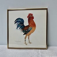 Square framed print showing a colorful rooster, titled 'Crown Prince'.