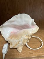 Conch shell lamp off, showing natural shell texture and shape with attached white cord and inline switch.