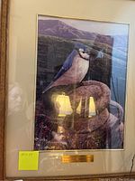 Framed blue jay photo with mountain landscape, plaque visible, and reflections of lamps in glass.
