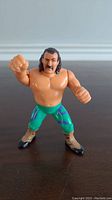Front view of WWF Hasbro Jake "The Snake" Roberts action figure in fighting pose showing facial features, tights and boots.
