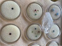 Wide view showing nine loose gemstones in individual round containers on a padded tray, includes one black opal and ruby among others.