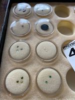 Overview of multiple gemstones in plastic capsules laid on foam.