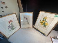 Three framed flower prints positioned on a black surface, showing full set and overall condition.