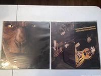 Front covers of John Fogerty Eye of the Zombie and George Thorogood and the Destroyers vinyl albums side by side in protective sleeves on white surface