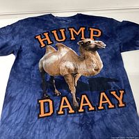 Front of shirt showing camel graphic and "HUMP DAAAY" text on blue tie-dye background.