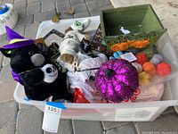 View of the Halloween decorations inside clear plastic bin, including plush cat with witch hat, dog in skeleton costume, purple glitter pumpkin, green box and assorted small pumpkins.