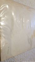 Photo of heavily worn and stained white record jacket covered with a plastic protective cover.