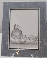 Front view of the matted sketch sealed in plastic showing a mother duck and five ducklings, grey textured outer matte and off white inner matte.